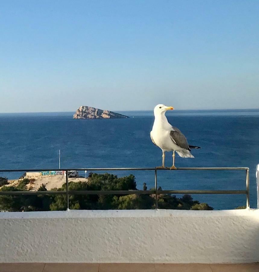 Duplex Villamarina Benidorm Buitenkant foto